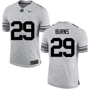 Men's Ohio State Buckeyes #29 Rodjay Burns Gray Nike NCAA College Football Jersey December QLR5144TA